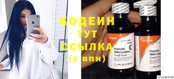 ГАЛЛЮЦИНОГЕННЫЕ ГРИБЫ Киренск