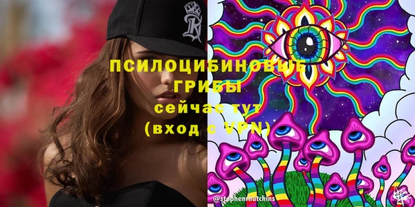 метадон Кодинск
