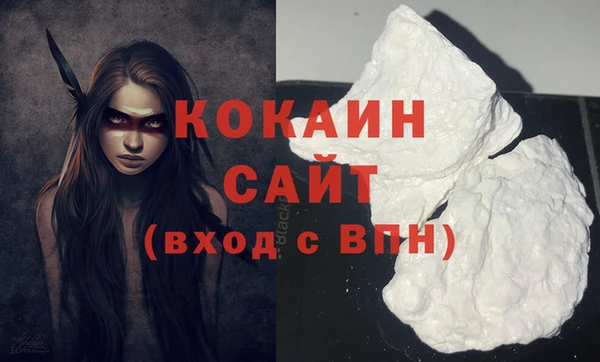 ПСИЛОЦИБИНОВЫЕ ГРИБЫ Фёдоровский